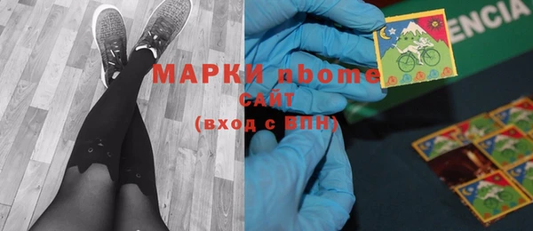 гидра Каменногорск