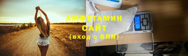 гидра Каменногорск