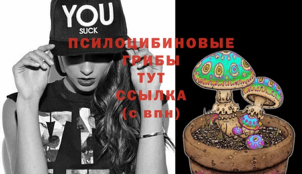 гидра Каменногорск