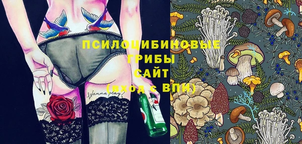 ГАЛЛЮЦИНОГЕННЫЕ ГРИБЫ Зеленокумск