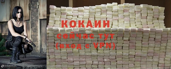 mdpv Каменка