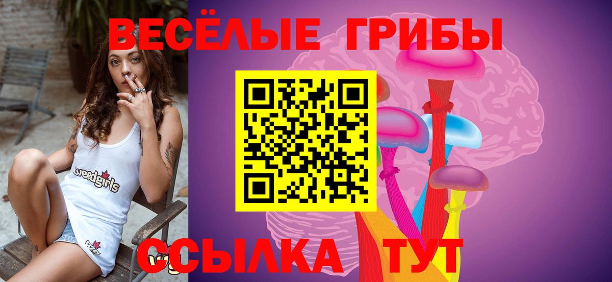 Галлюциногенные грибы Magic Shrooms Краснокамск